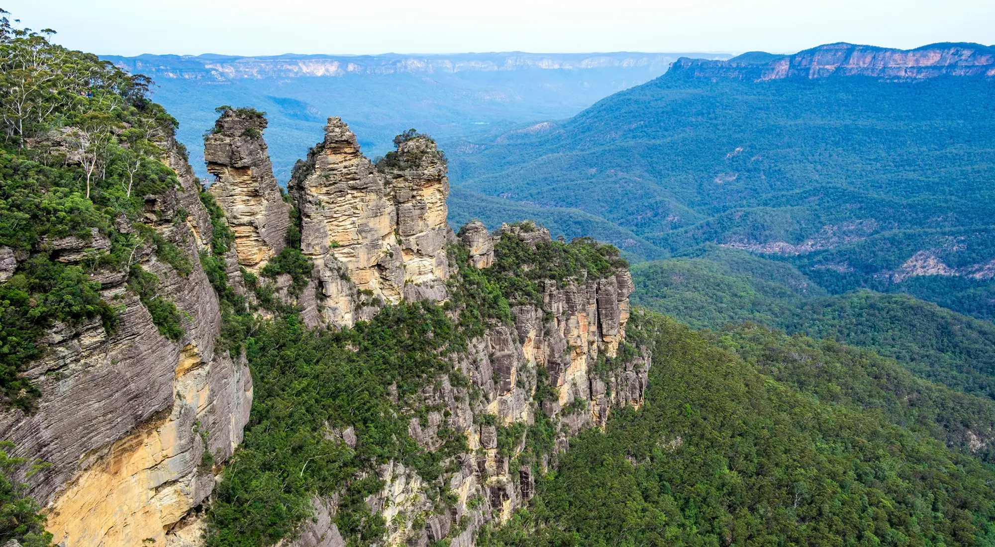 ブルーマウンテンズ