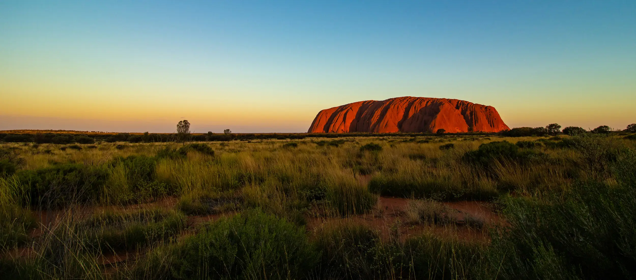 ニッポン・プロダクション・オーストラリアの映像コーディネート会社